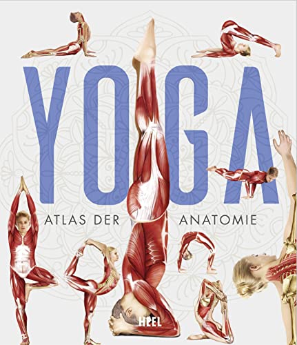 YOGA - Atlas der Anatomie: Yoga Anatomie und Asanas (wissenschaftliche anatomische Illustrationen)