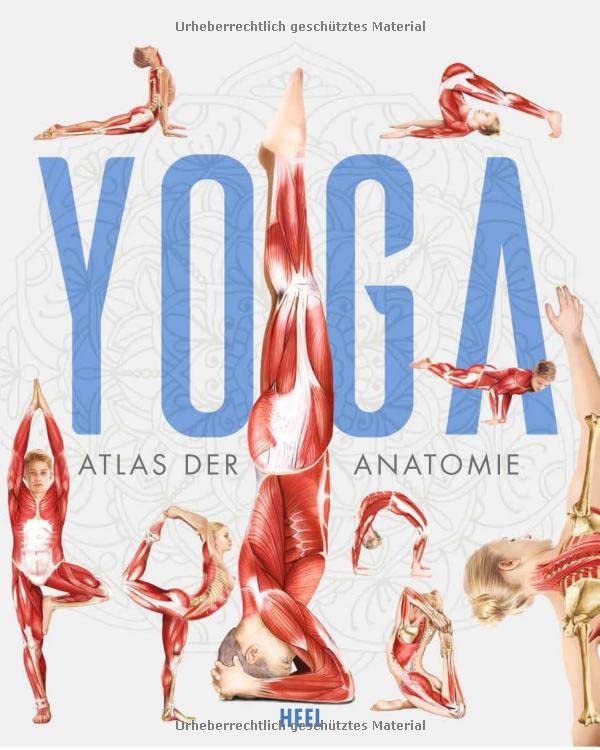 YOGA: Atlas der Anatomie